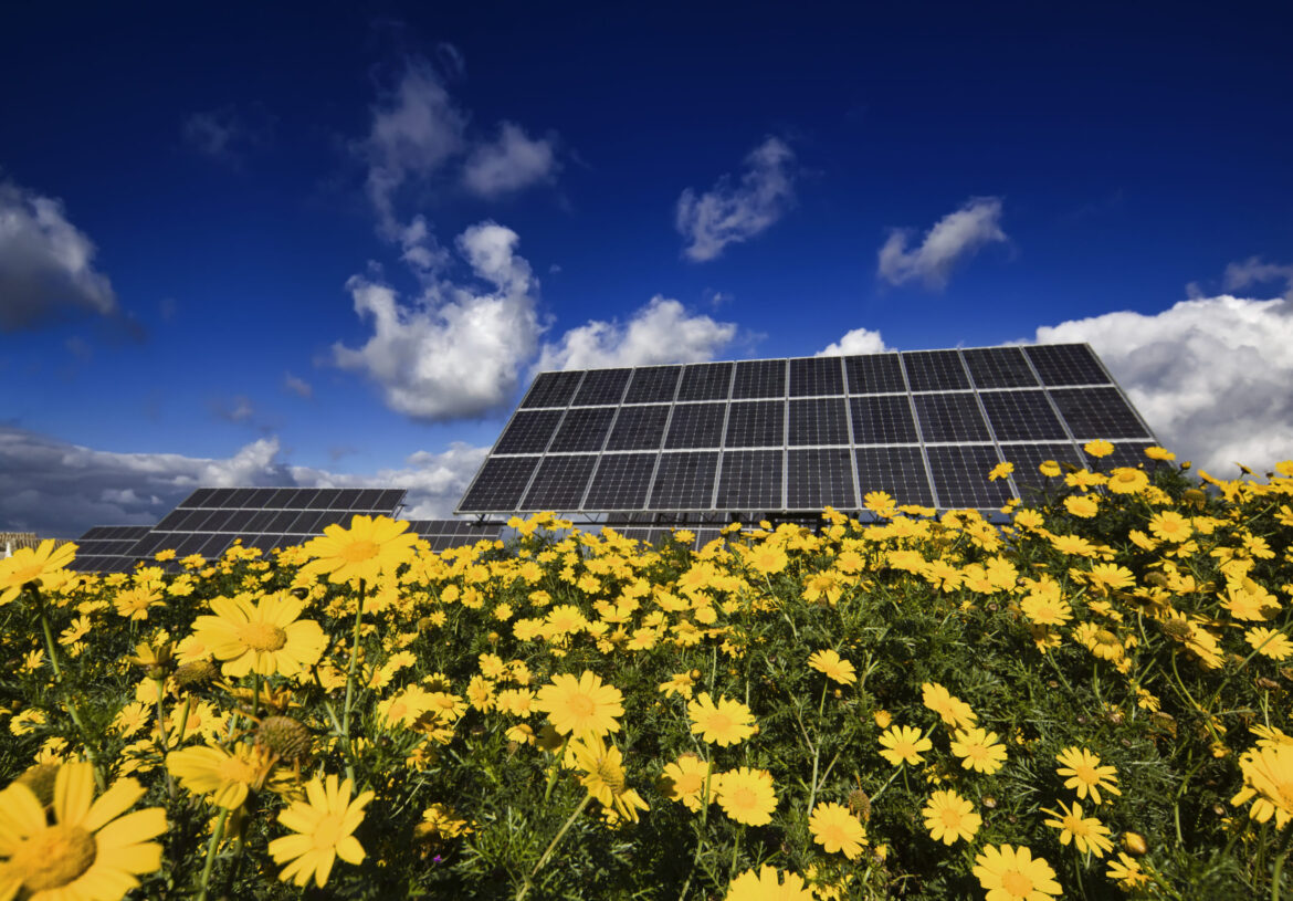 European Solar Initiative European Solar Initiative