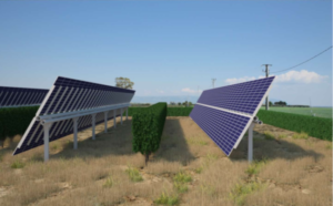Falck Renewables