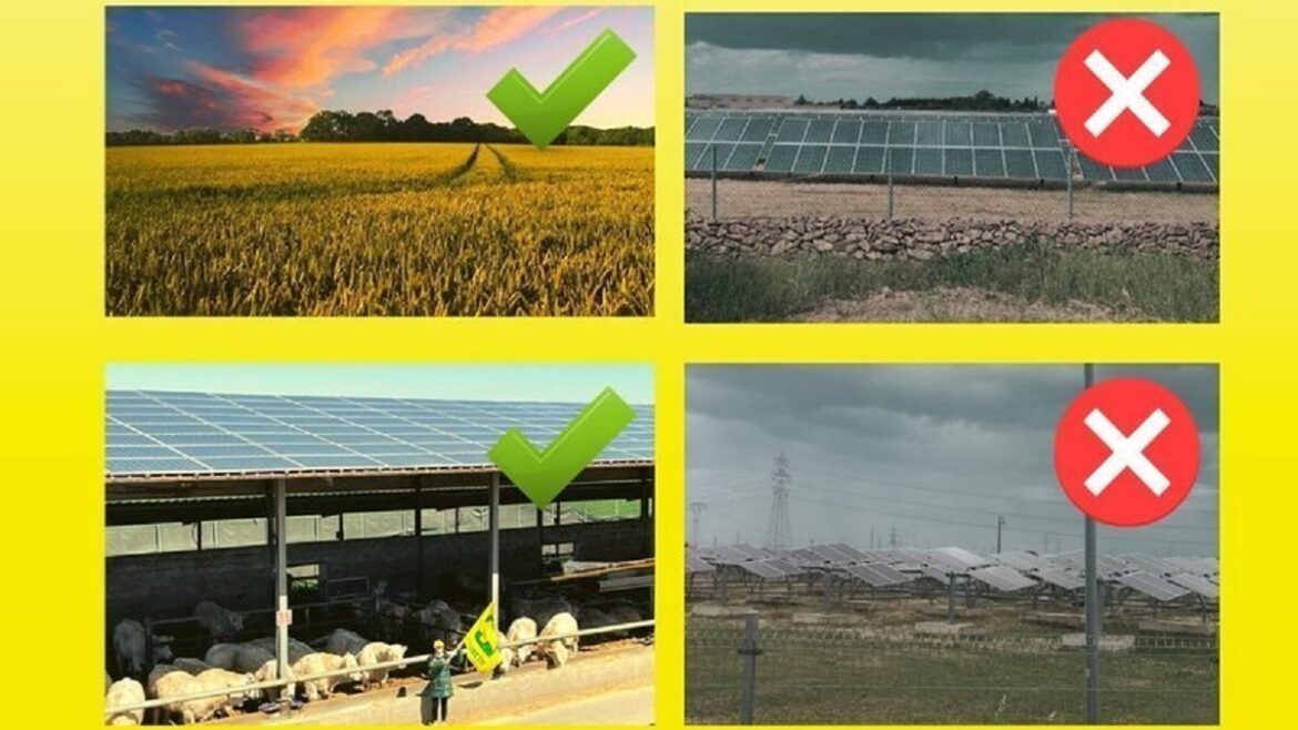 Coldiretti Giovani Impresa Coldiretti Giovani Impresa