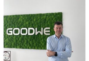 goodwe