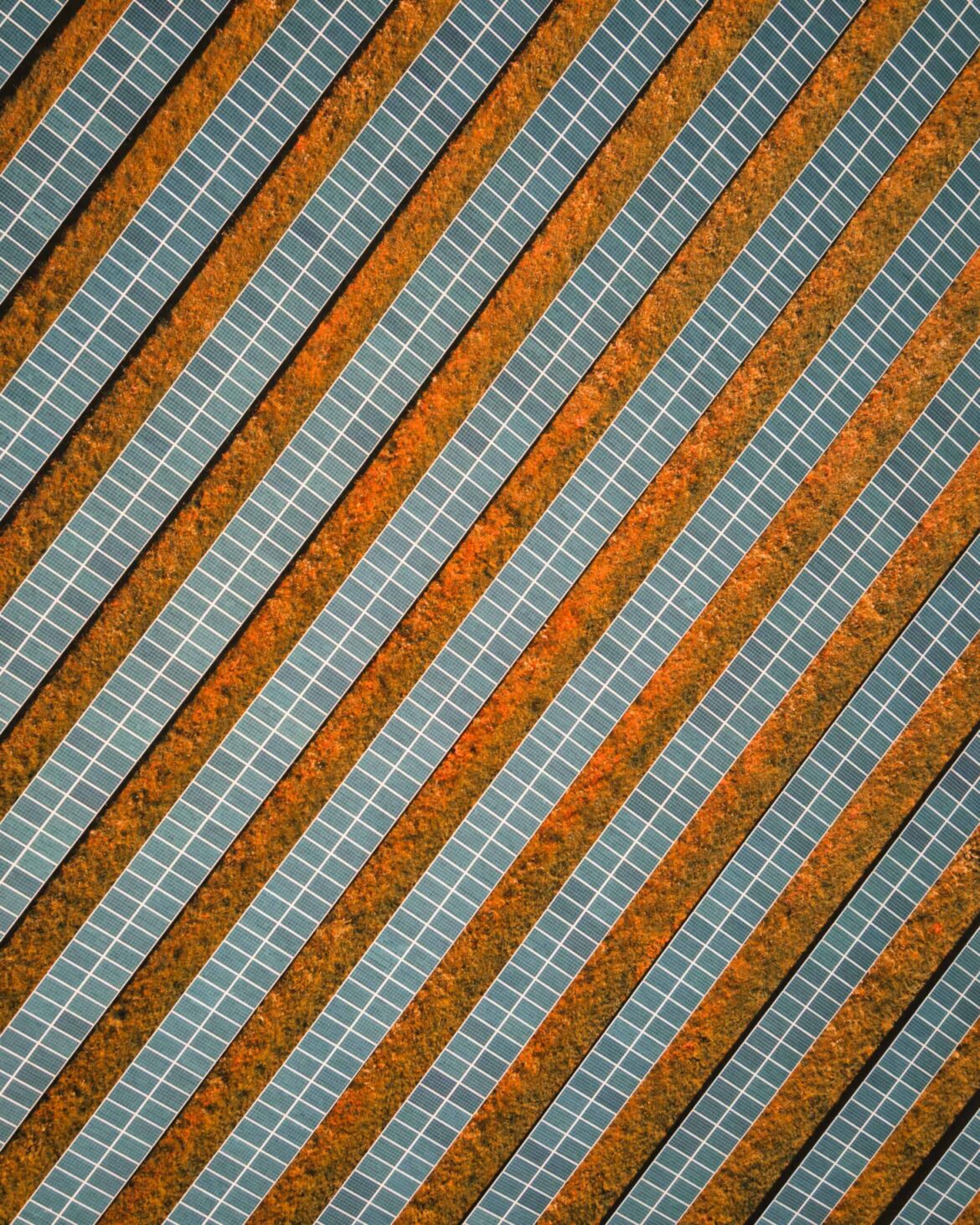 eiffel eiffel