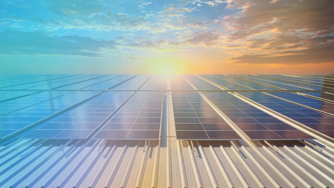 dichiarazione di consumo dichiarazione di consumo