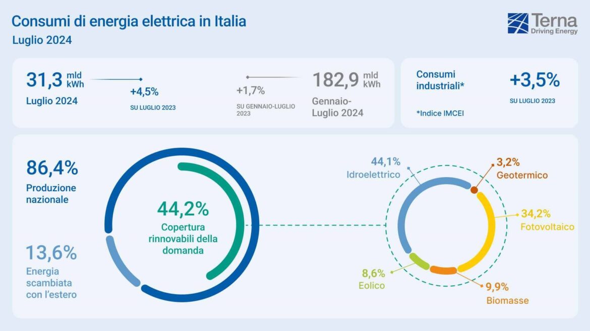 Terna_consumi_elettrici_luglio_2024_infografica.jpg_8dcc5c13ab233b5