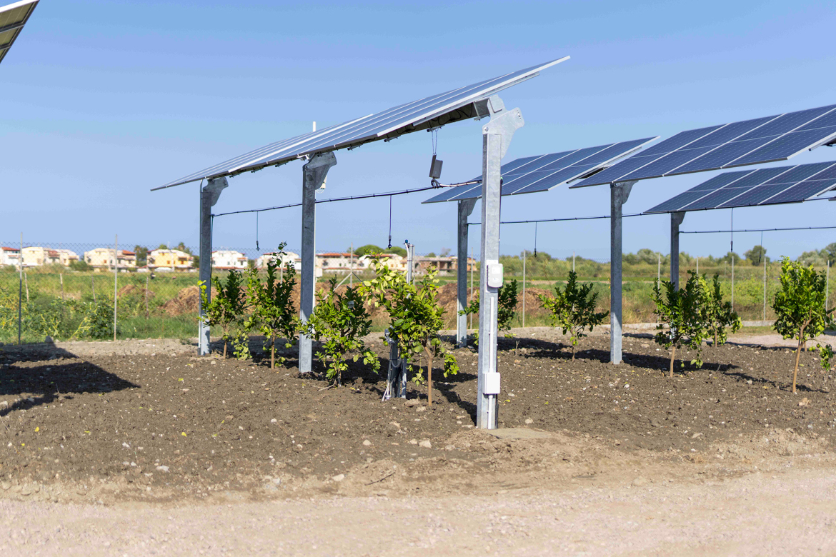 Agrivoltaico Agrivoltaico