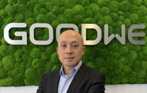 goodwe