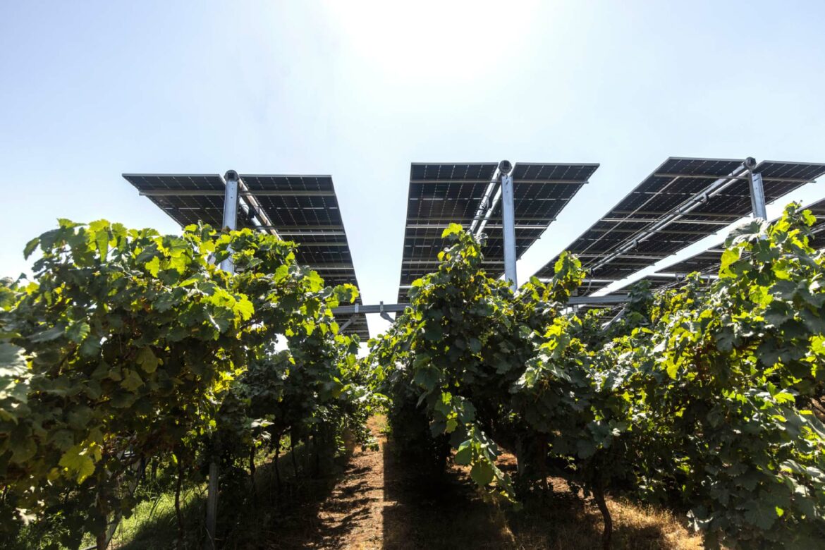 solargik fornitura tracker Italia solargik fornitura tracker Italia