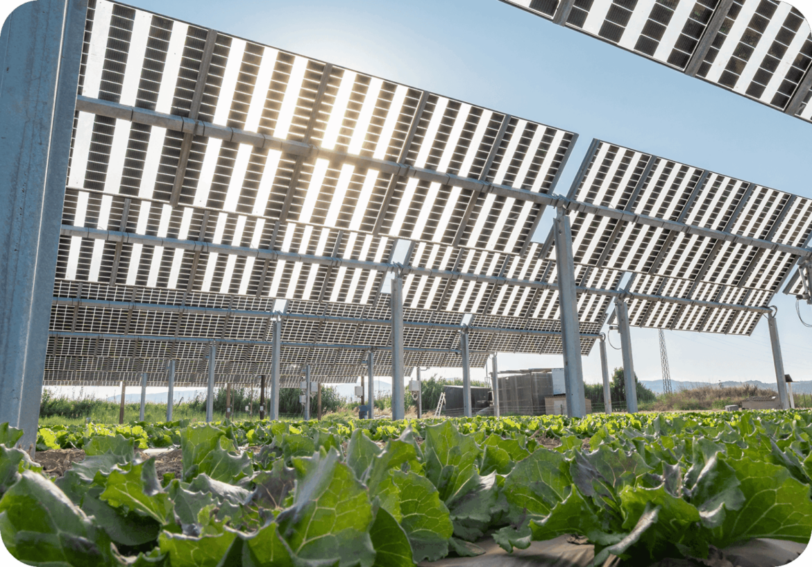 conferenza agrivoltaico