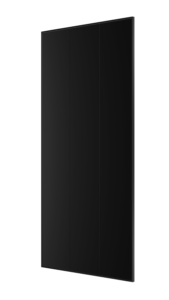 longi