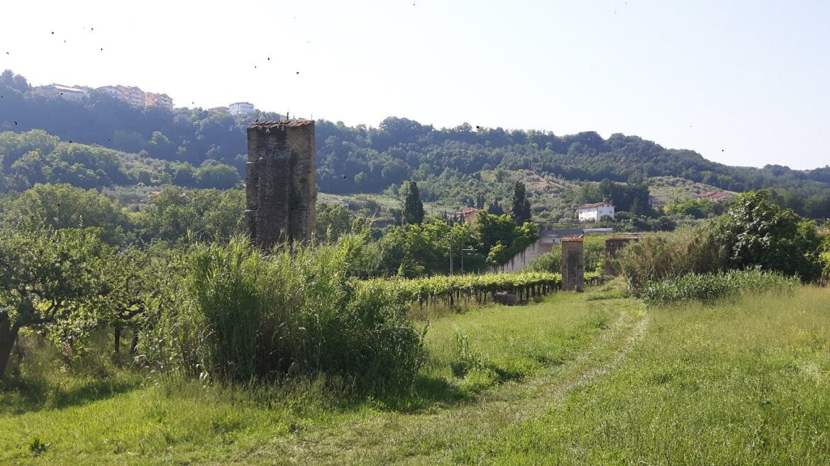 demanio